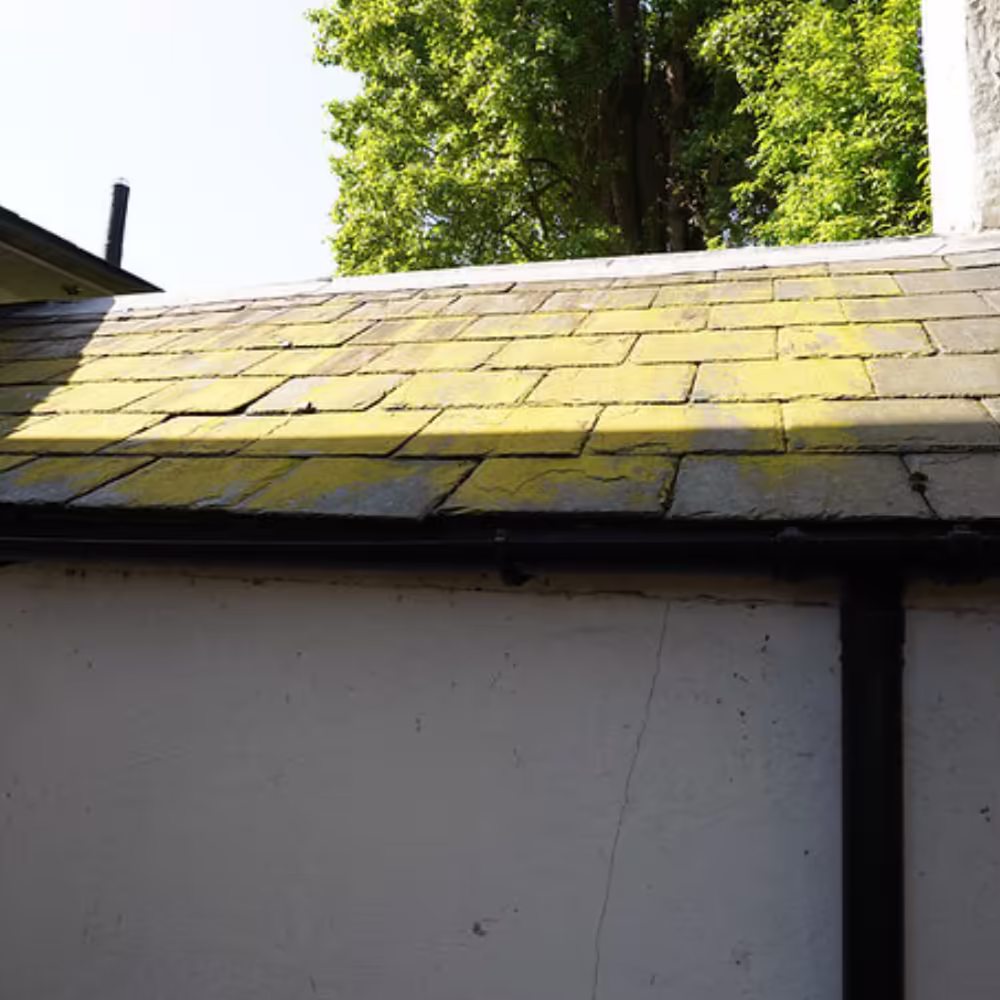 The original slate roof of the listed building before refurbishment, showing significant moss and lichen growth that required restoration.